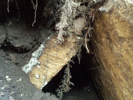 Read more: Priključak vode otkrio ilirsko groblje
