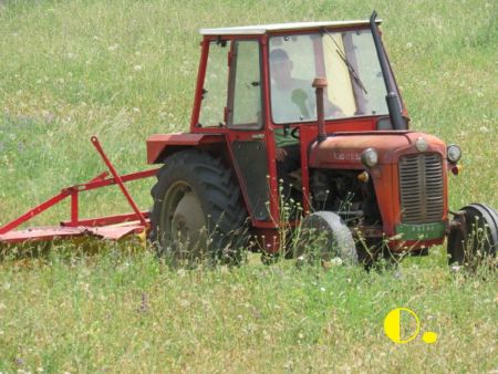 Read more: Napokon, počela kosidba trave