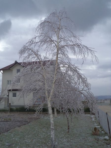 Read more: Ledena kiša u dijelu općine Tomislavgrad