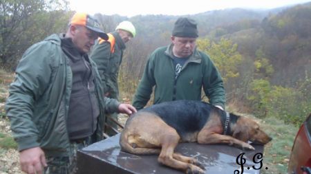 Read more: Kiša omela lovačku kob