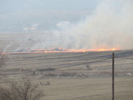 Read more: Fala ti Bože, a budala...