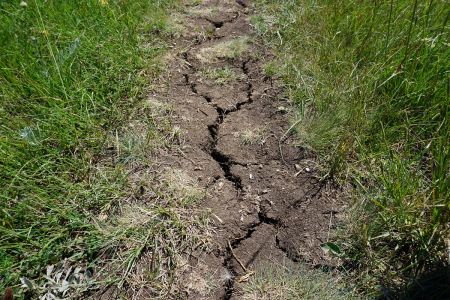 Read more: Ispucala zemlja vapi za kišom