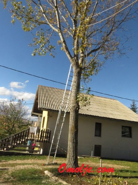 Read more: Kad Vukadini topolu posjekoše