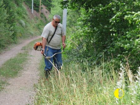 Read more: Pomen, košenje trave i uređenje prostora